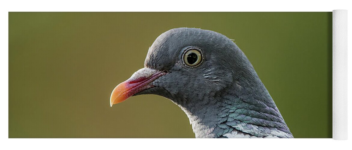 Common Wood Pigeon Yoga Mat featuring the photograph Common Wood Pigeon s portrait by Torbjorn Swenelius