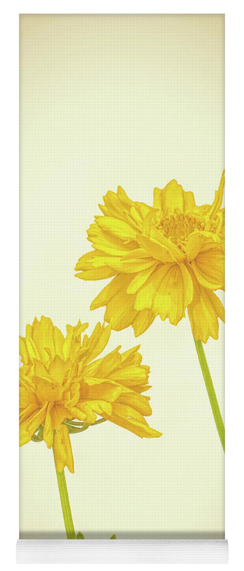 High Key Yoga Mat featuring the photograph Coreopsis by Allin Sorenson