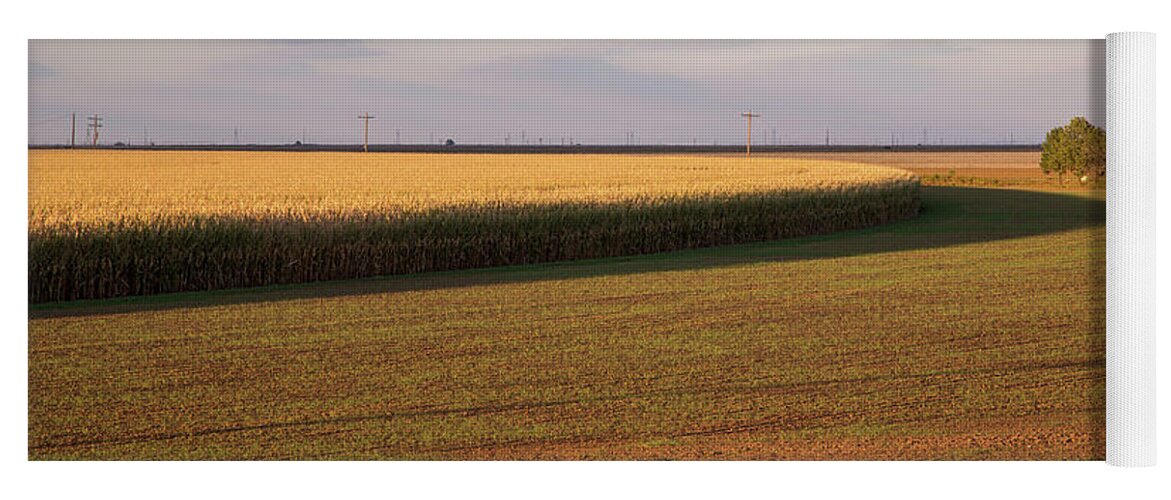 Corn Yoga Mat featuring the photograph Corn Circle near Sunset by Steve Templeton