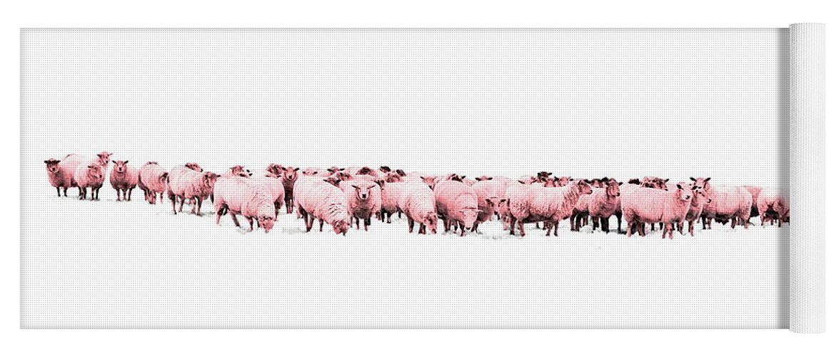 Sheep Yoga Mat featuring the photograph Counting Pink Sheep for Girls Room by Andrea Kollo