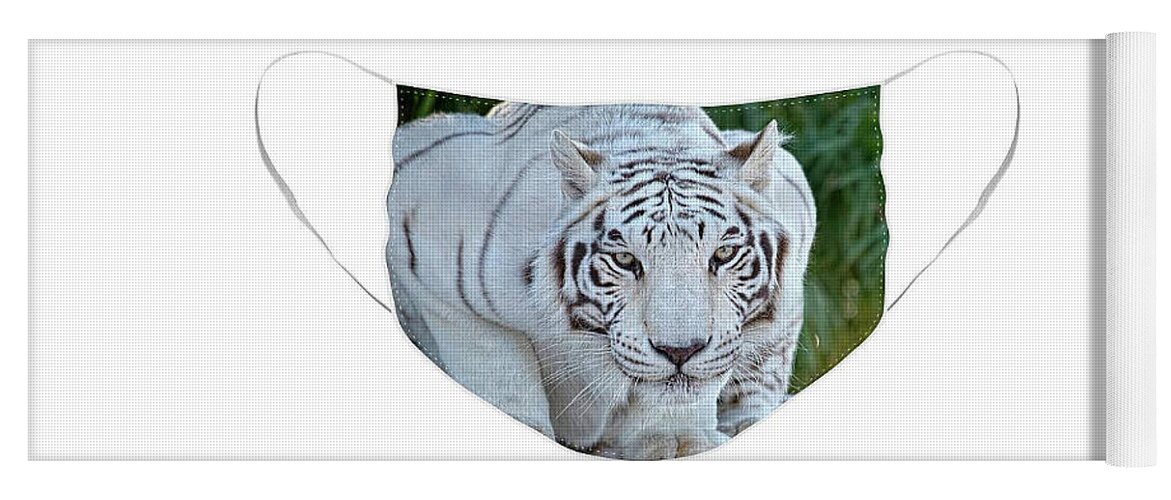 Face Mask Yoga Mat featuring the photograph Crouching White Tiger - Face Mask by Lucinda Walter
