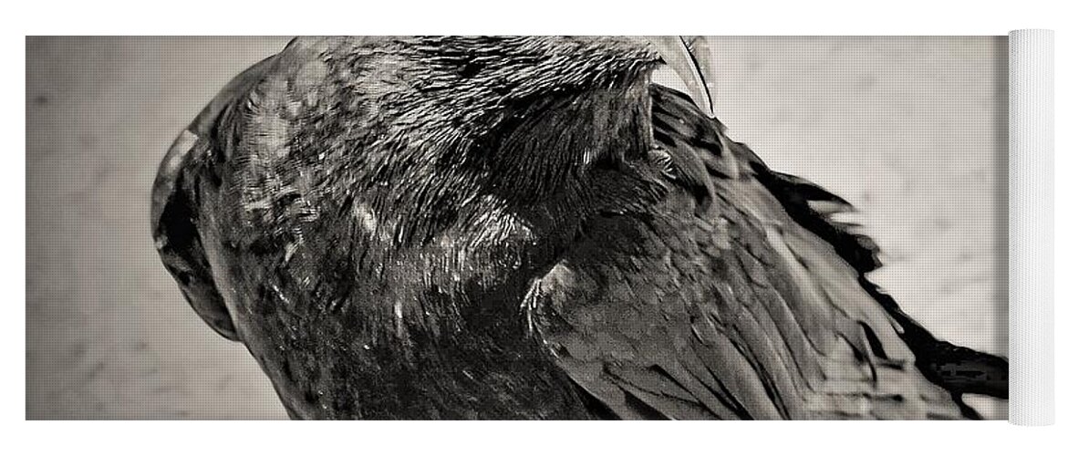 Crow Bird Black White Yoga Mat featuring the photograph Crow by John Linnemeyer