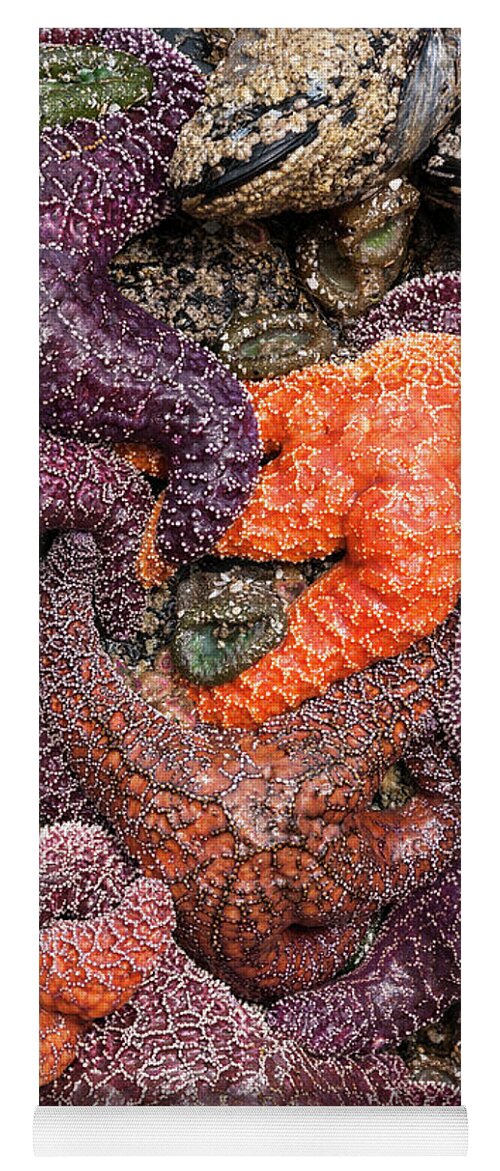 Animals Yoga Mat featuring the photograph Crowded Onto a Rock by Robert Potts