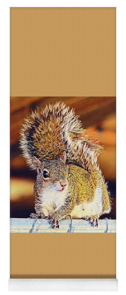 Squirrel Yoga Mat featuring the photograph Cuteness Overload 2 by Joanne Carey