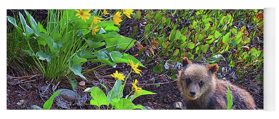 Grizzly Cub Yoga Mat featuring the photograph Cutie Pie Cub by Greg Norrell
