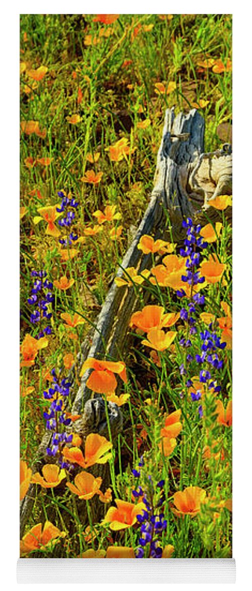Arizona Yoga Mat featuring the photograph Cycle of Life 25052 by Mark Myhaver