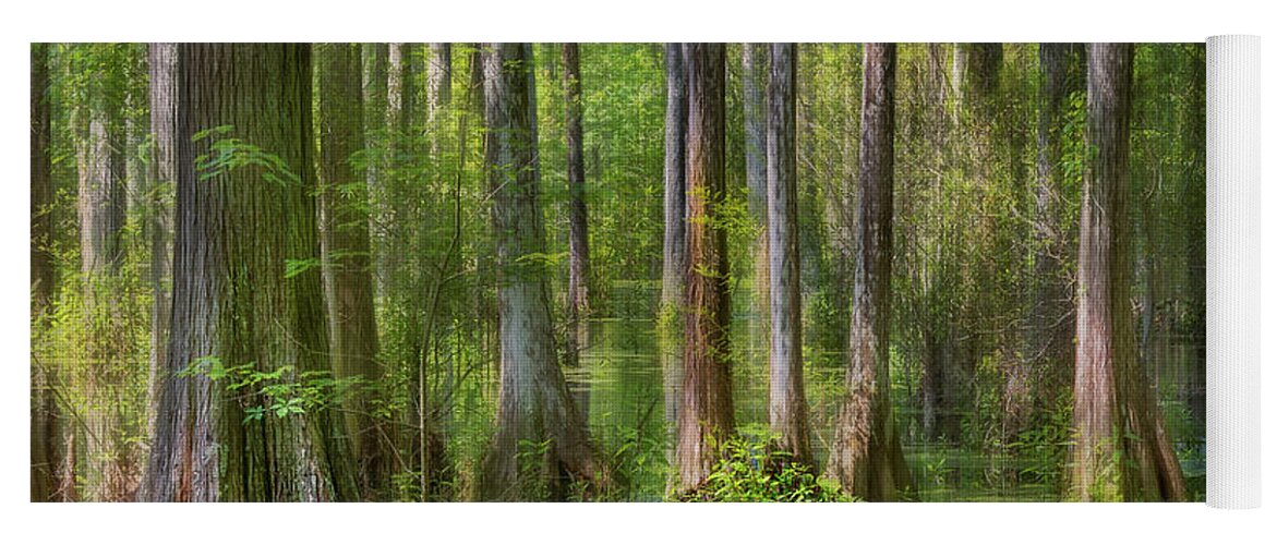 Charleston Yoga Mat featuring the photograph Cypress Gardens Abstract by James Woody