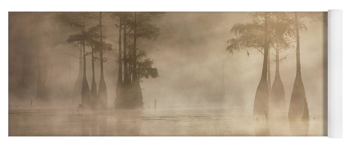 Abstract Yoga Mat featuring the photograph Cypress in Fog by Alex Mironyuk