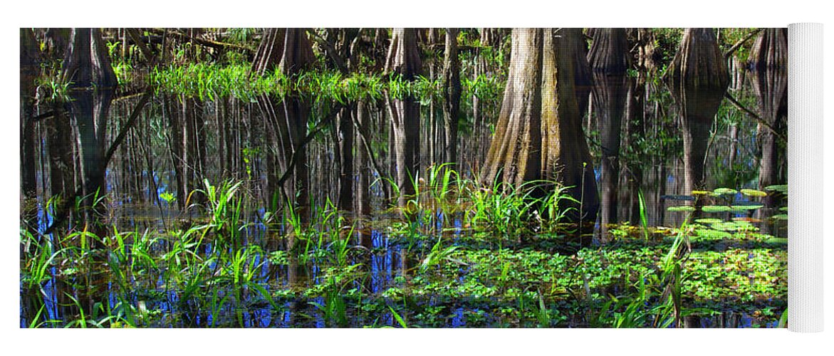 Swamp Yoga Mat featuring the photograph Cypress Reflections - Cypress trees rise in the swamp waters of southern Florida by Kenneth Lane Smith