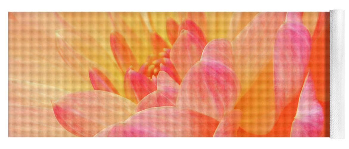 Florals Yoga Mat featuring the photograph Dahlia - Floral Close Up by Rehna George