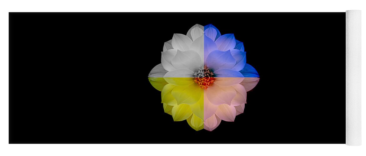 Art Yoga Mat featuring the photograph Dahlia in Assorted Colors by Joan Han