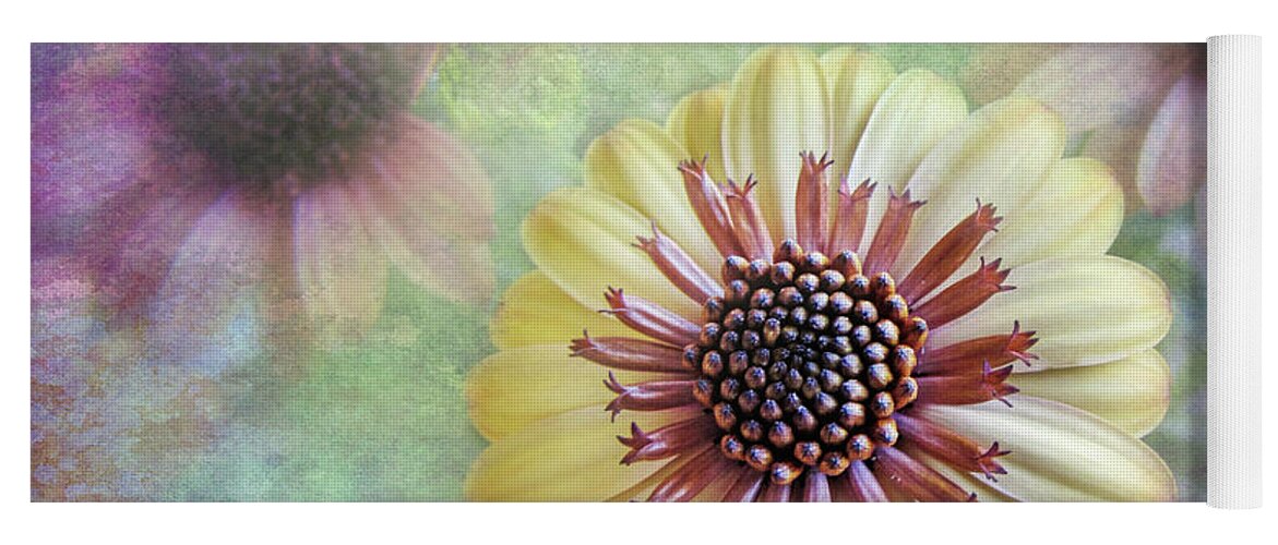 Bed Room Decor Yoga Mat featuring the photograph Daisy Burst by David and Carol Kelly