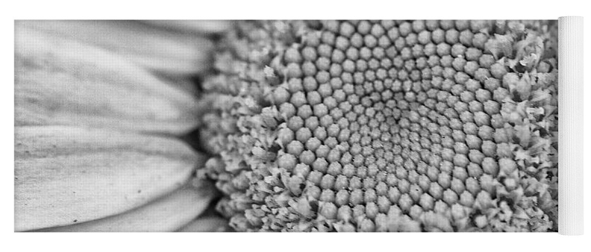 Daisy Yoga Mat featuring the photograph Daisy Detail in Black and White by Bob Decker