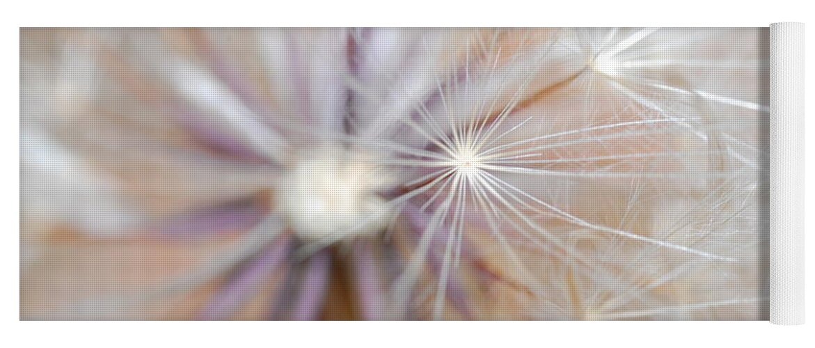 Nature Yoga Mat featuring the photograph Dandelion 2 by Amy Fose