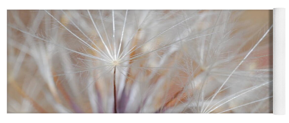 Nature Yoga Mat featuring the photograph Dandelion 3 by Amy Fose
