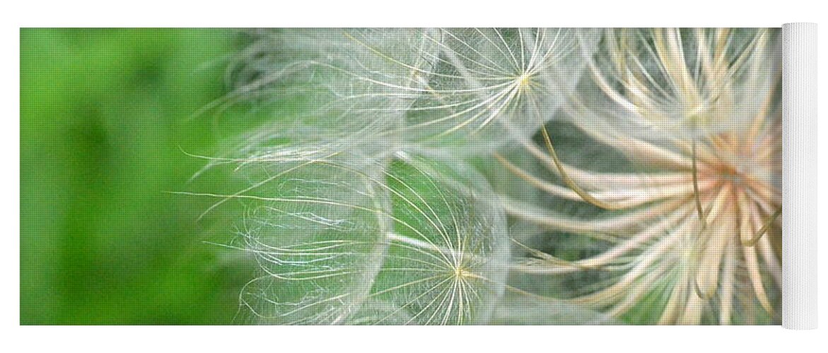 Nature Yoga Mat featuring the photograph Dandelion 5 by Amy Fose