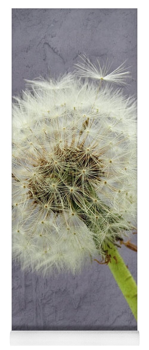 Botanical Yoga Mat featuring the photograph Dandelion Clock with textured background by Sue Leonard
