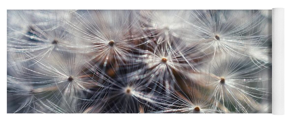 Dandelion Yoga Mat featuring the photograph Dandelion Seeds by Evan Foster