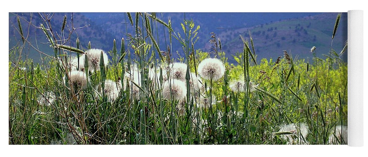 Dandelion Yoga Mat featuring the photograph Dandelions and Mountains by Kathryn Alexander MA