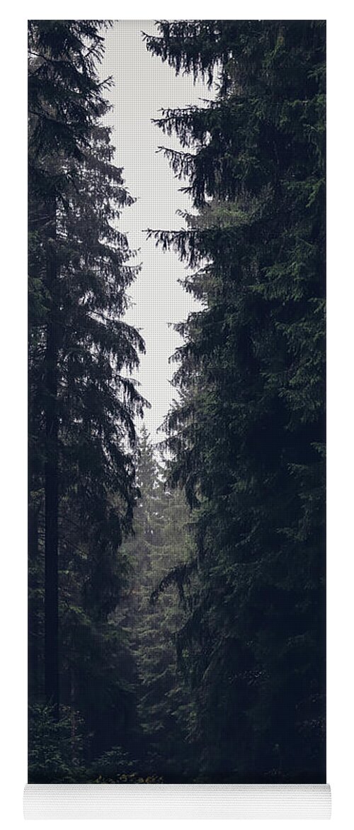 Forest Yoga Mat featuring the photograph Dark atmosphere in forest. Forgotten road in rainy day by Vaclav Sonnek