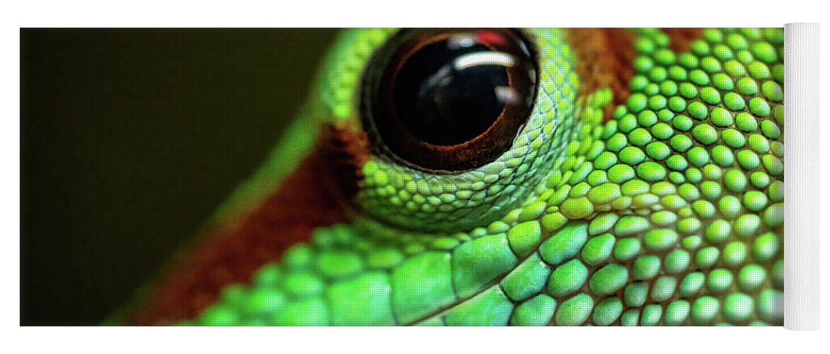 Day Gecko Yoga Mat featuring the photograph Day Gecko Macro by Wesley Aston