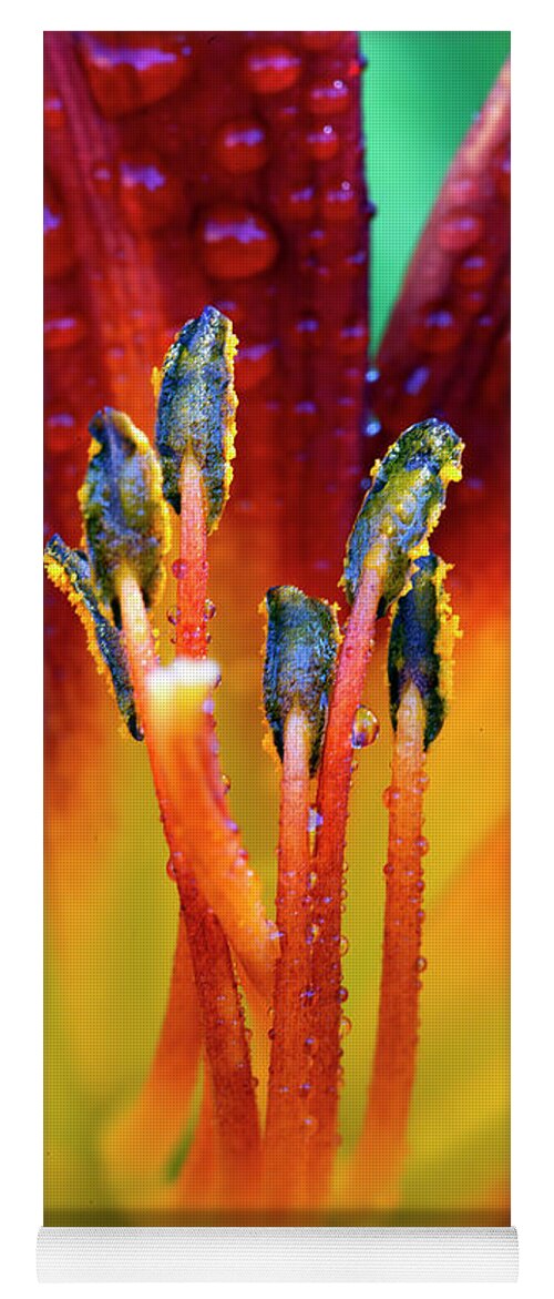 Day Yoga Mat featuring the photograph Day Lily with Dew by Gary Langley