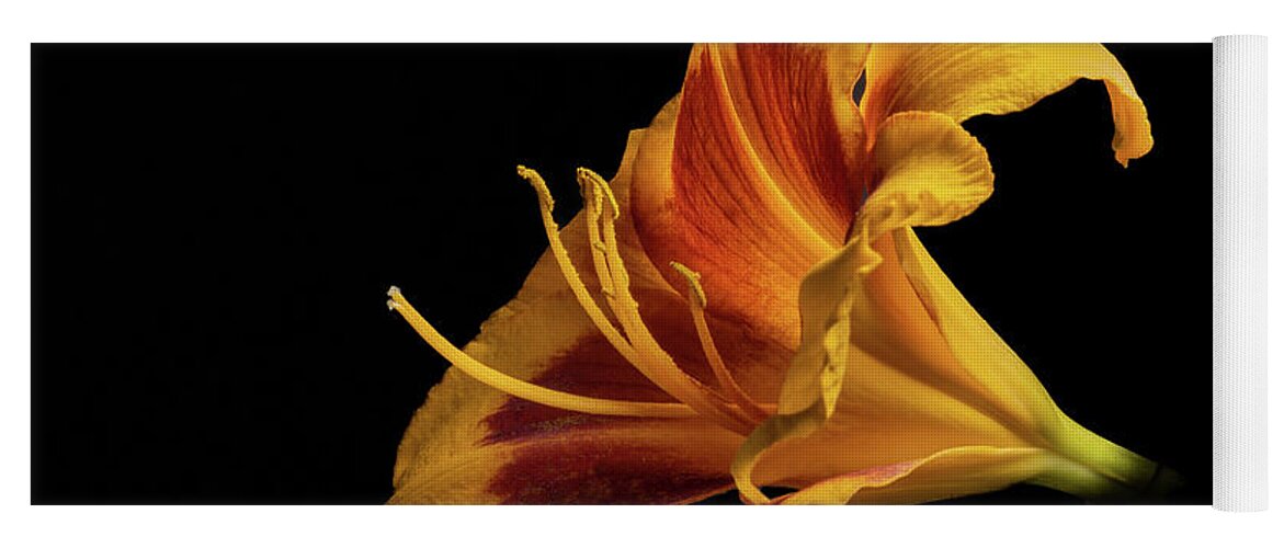 Hemerocallis Fulva Yoga Mat featuring the photograph Daylily at Night by Kevin Suttlehan