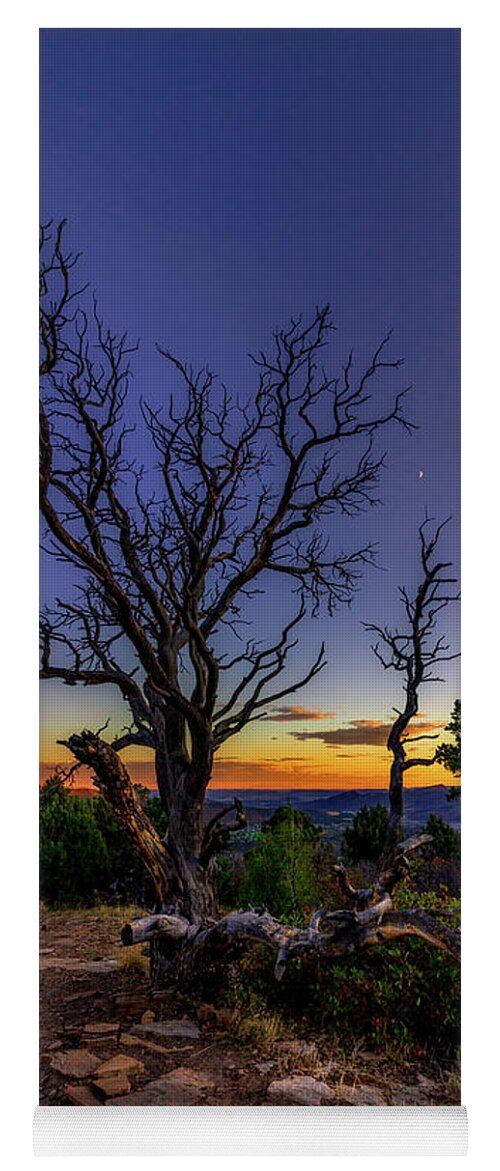 Dead Tree Yoga Mat featuring the photograph Dead Tree over Durango by Bradley Morris