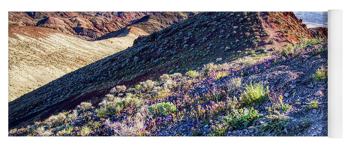 Landscape Yoga Mat featuring the photograph Death Valley at spring by Tatiana Travelways