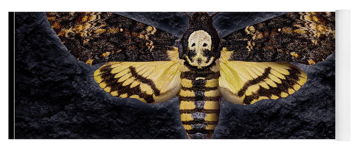 Death's-head Hawkmoth Yoga Mat featuring the photograph Deaths Head Hawk Moth Framed Version by Weston Westmoreland