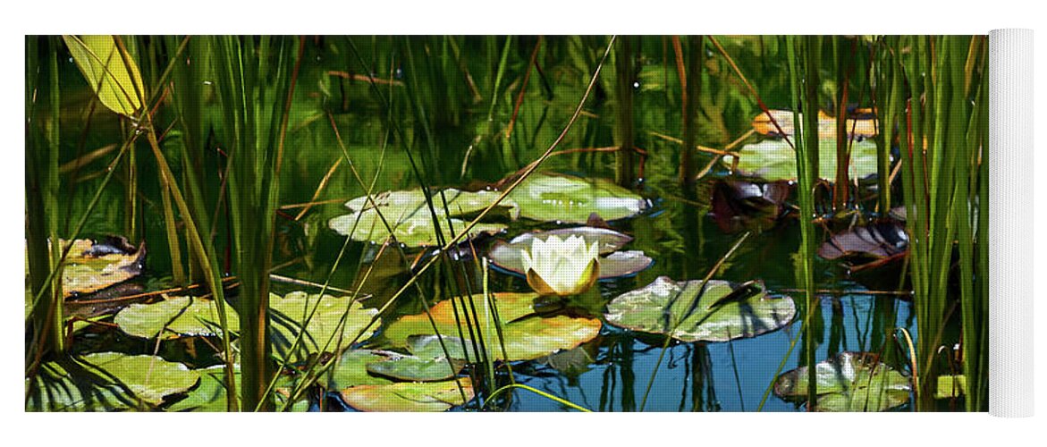 Water Lily Yoga Mat featuring the photograph Deep in the Lily Pond by Bonnie Follett