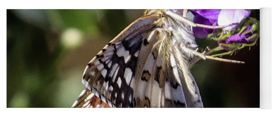 Butterfly Yoga Mat featuring the photograph Delicate Beauty by Laura Putman