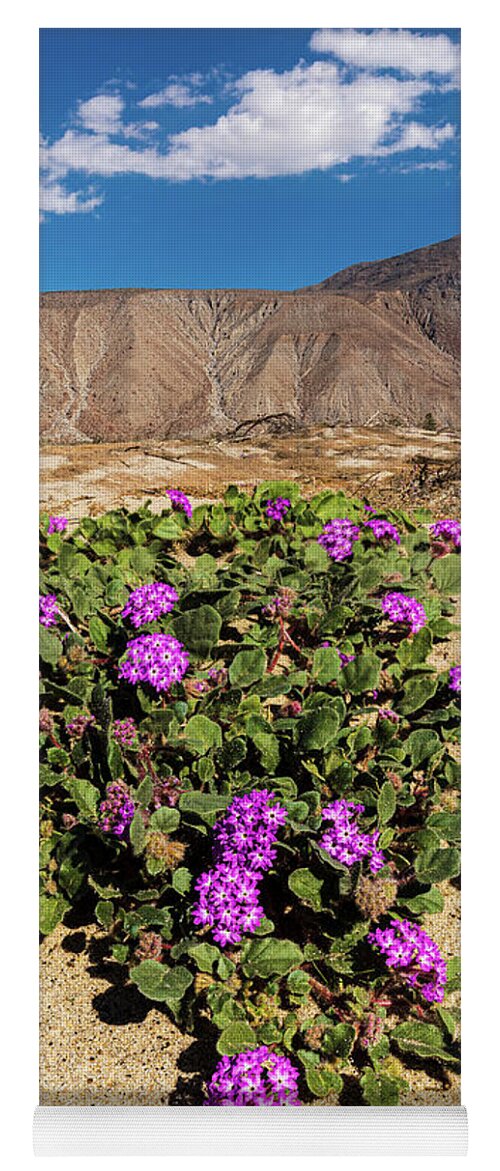 Anza - Borrego Desert State Park Yoga Mat featuring the photograph Desert Sand Verbena by Peter Tellone