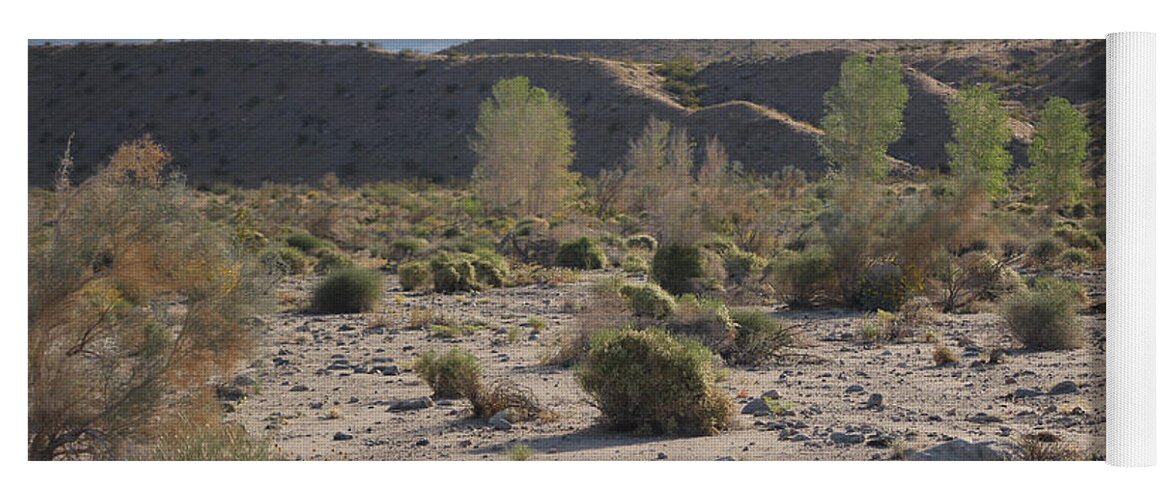 Desert Oasis Yoga Mat featuring the photograph Desert Scene 4 Coachella Valley Wildlife Preserve by Colleen Cornelius
