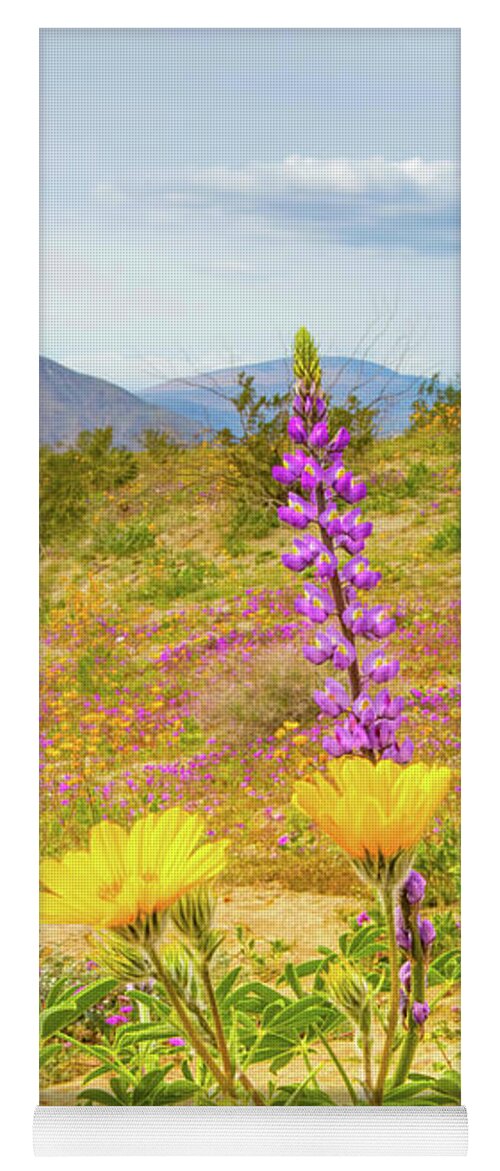 Wildflowers Yoga Mat featuring the photograph Desert Wildflowers by Rebecca Herranen