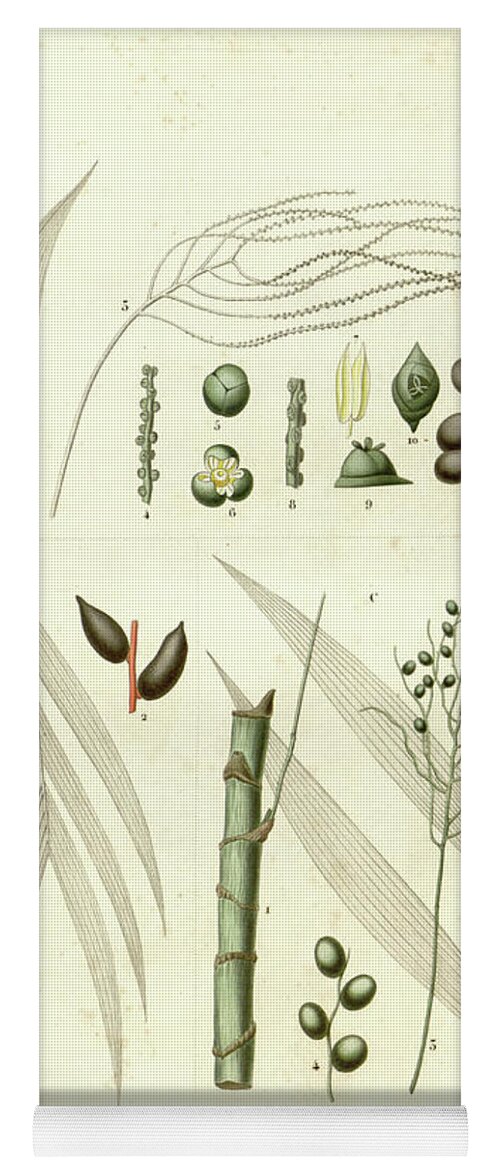 Details Yoga Mat featuring the photograph details of Palm tree parts u4 by Botany