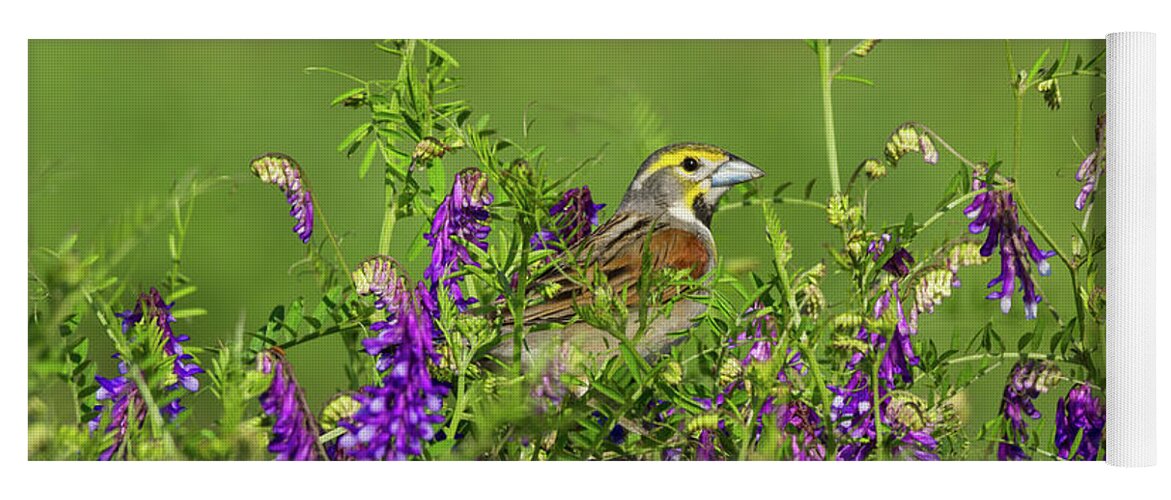 Birds Yoga Mat featuring the photograph Dickcissel - 8256 by Jerry Owens