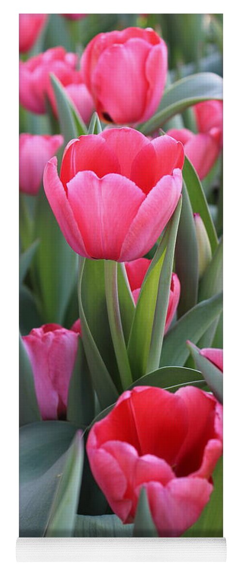 Tulip Yoga Mat featuring the photograph Didler's Tulip by Dr Debra Stewart