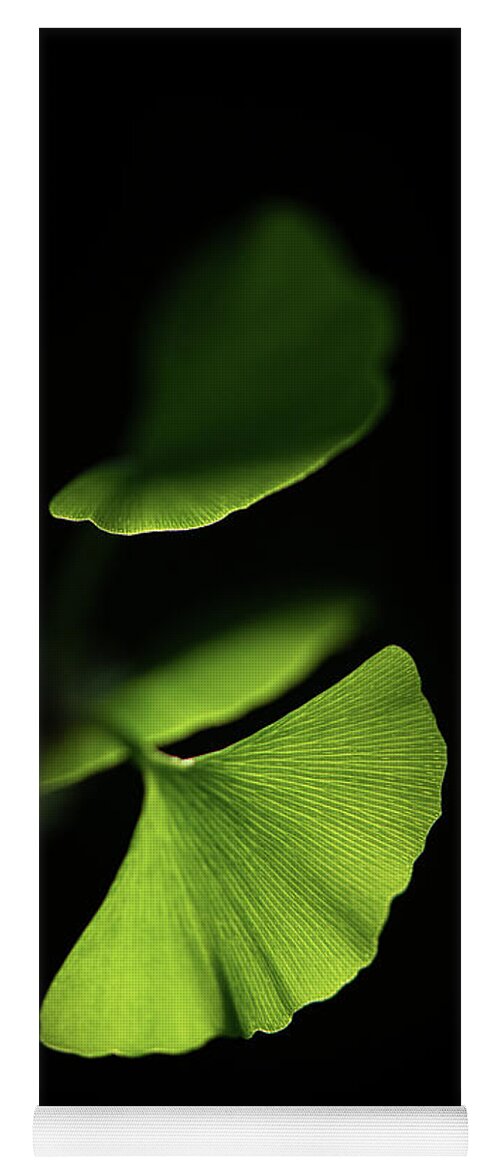 Leaves Yoga Mat featuring the photograph Discretion by Philippe Sainte-Laudy