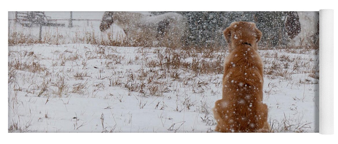 Snow Yoga Mat featuring the photograph Dog And Horses In The Snow by Karen Rispin