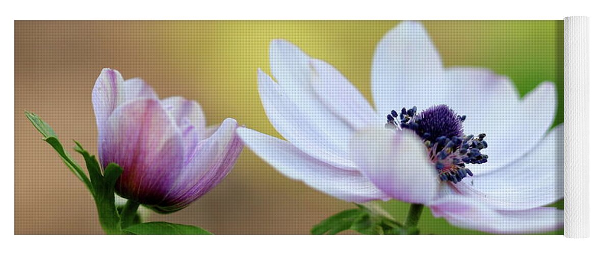Nature Yoga Mat featuring the photograph Double Anemone by Baggieoldboy