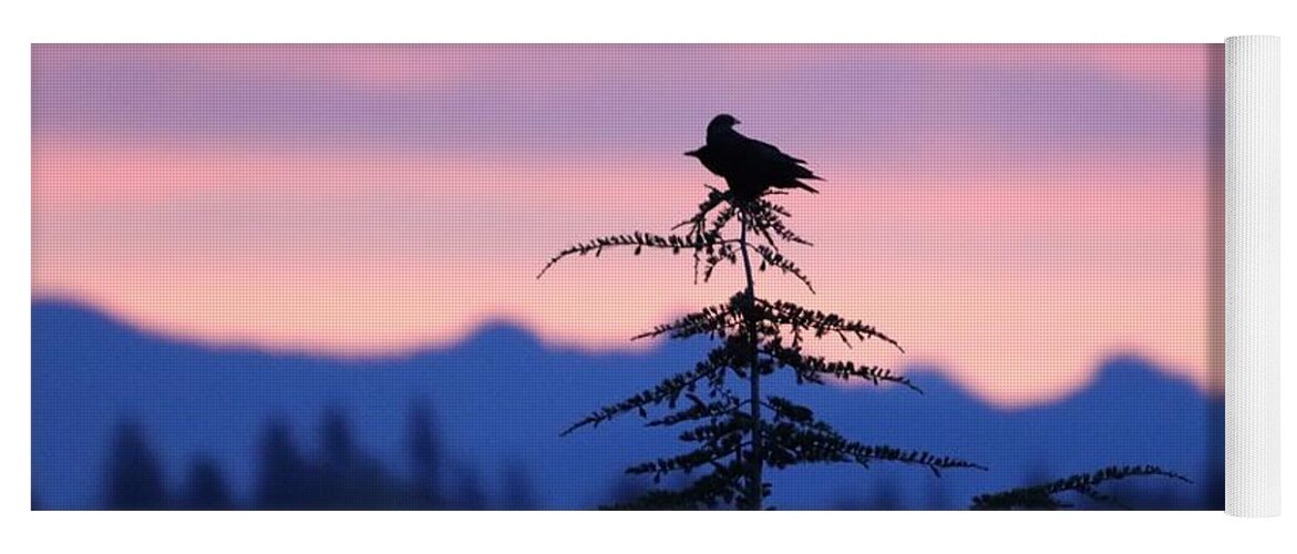 Sunrise Yoga Mat featuring the photograph Double Crow in the Sunrise by Tahmina Watson