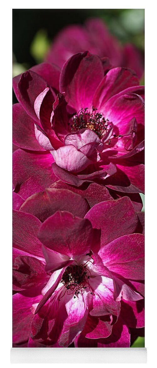 Floribunda Rose Yoga Mat featuring the photograph Double The Pink Roses by Joy Watson