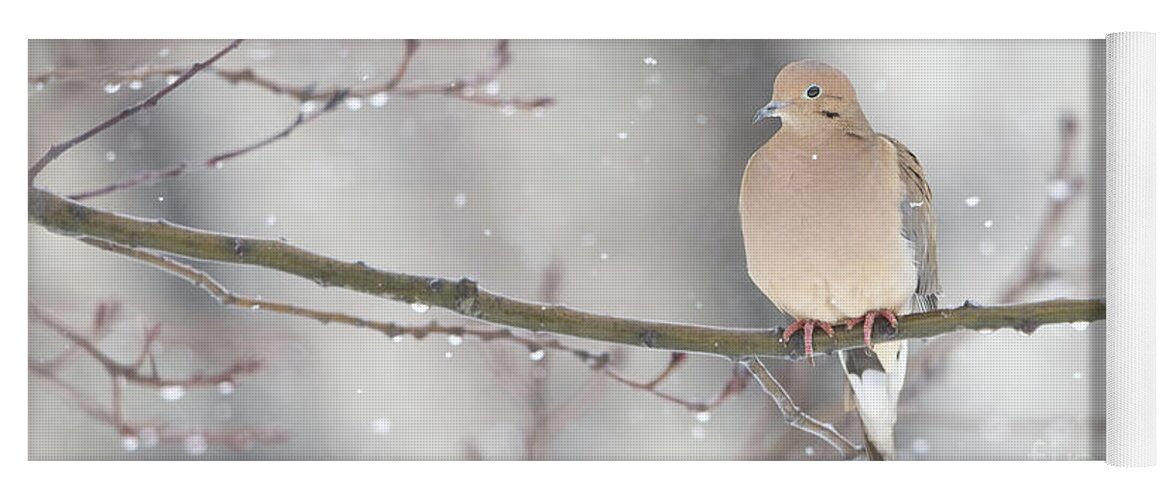 White Christmas Yoga Mat featuring the photograph Dove In The Snow by Rehna George