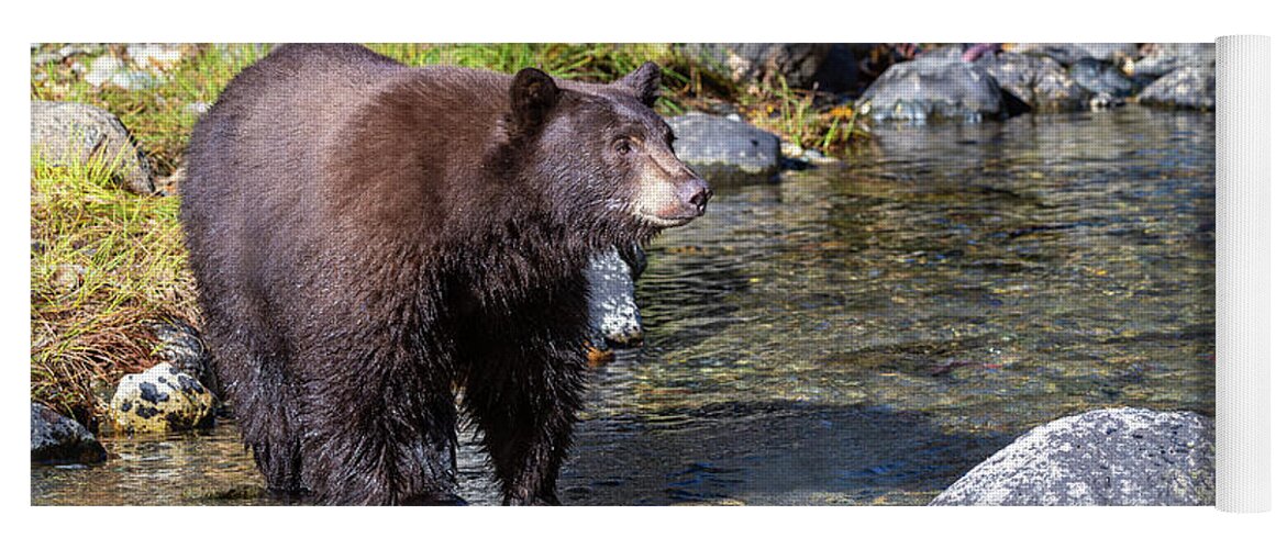 Bear Yoga Mat featuring the photograph Down by the River by Scott Warner