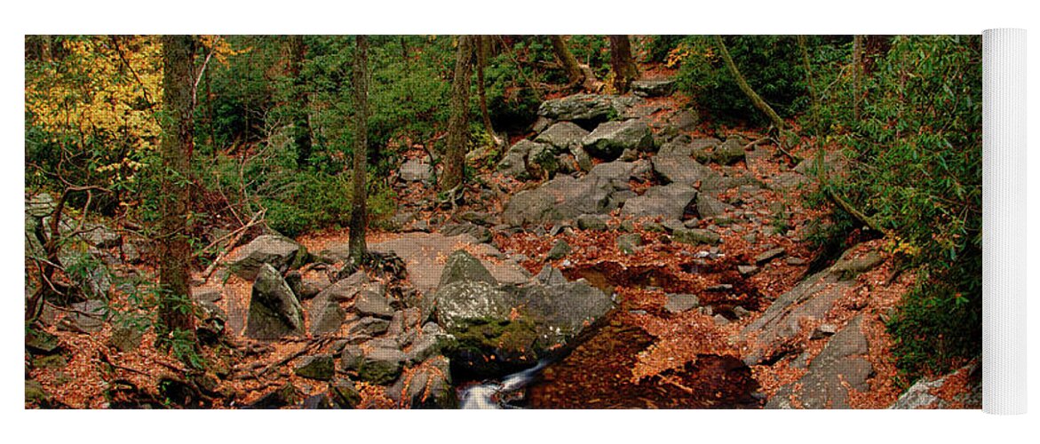 Great Smoky Mountains National Park Yoga Mat featuring the photograph Down from the Falls by Melissa Southern