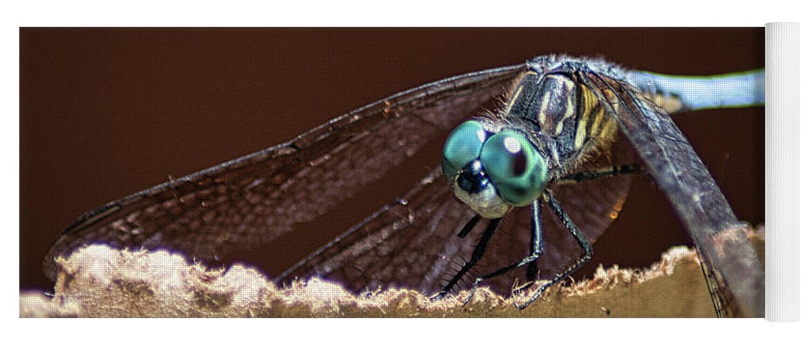 Insect Yoga Mat featuring the photograph Dragonfly Eyes by Portia Olaughlin