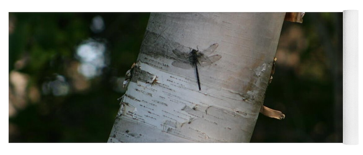 Beautiful Yoga Mat featuring the photograph Dragonfly on Tree by Mary Mikawoz