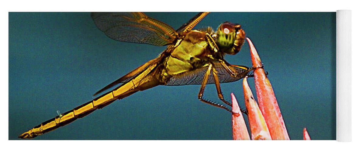 Dragonfly Yoga Mat featuring the photograph Dragonfly Resting by Bill Barber
