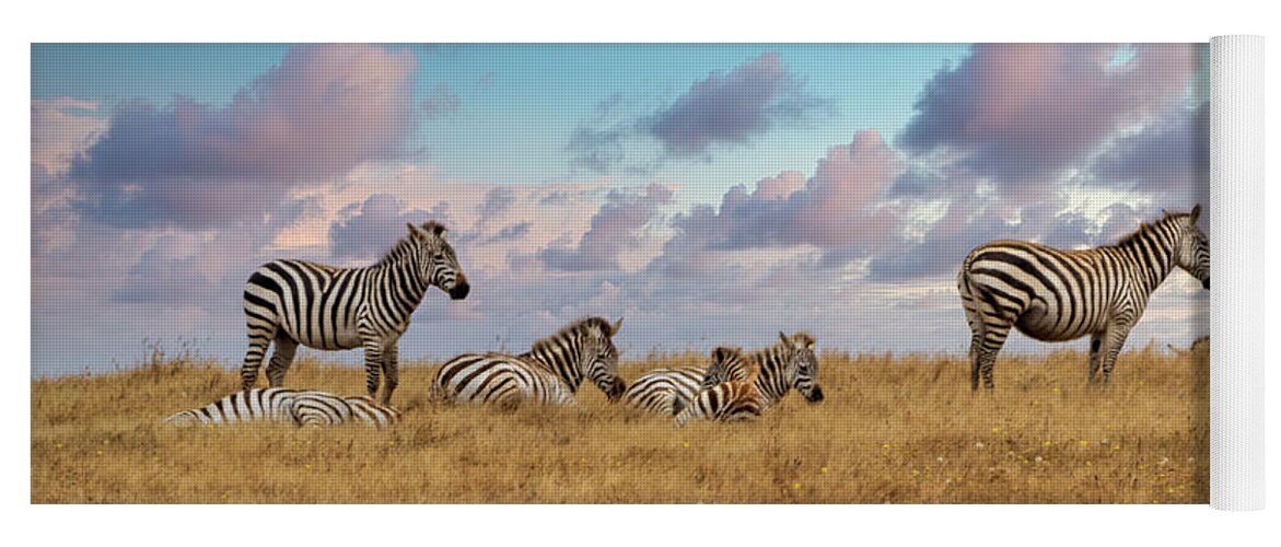 Zebra Yoga Mat featuring the photograph Dreaming of Zebras in the California Hills by Mimi Ditchie